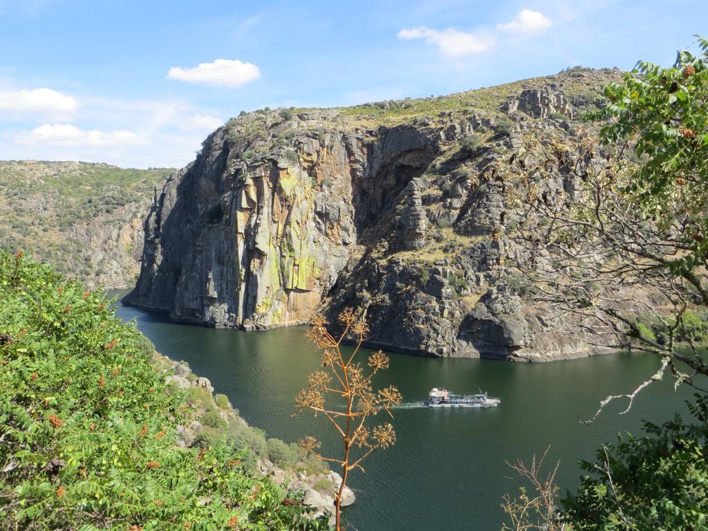 Camping Lamego Douro Valley Exterior photo